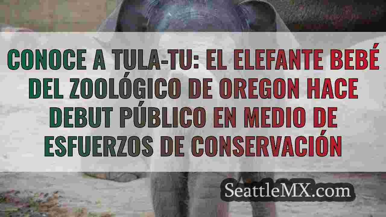 Noticias de Seattle SeattleMX