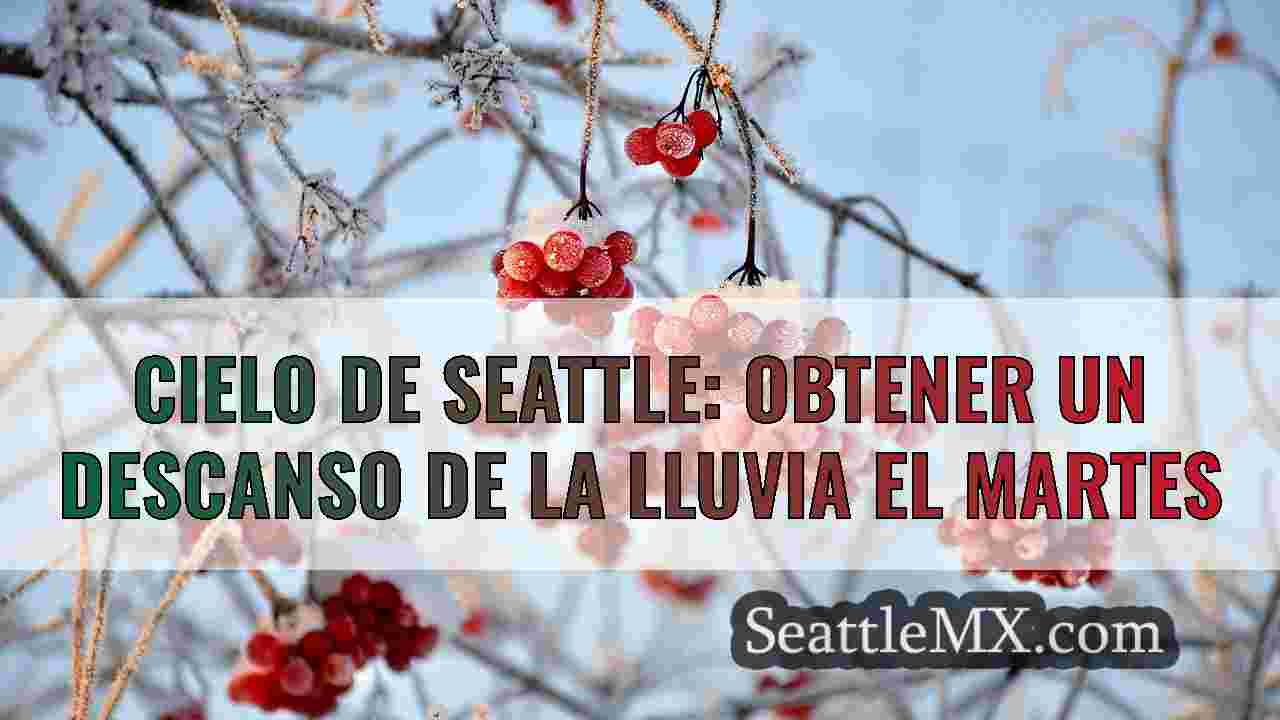 Noticias de Seattle SeattleMX
