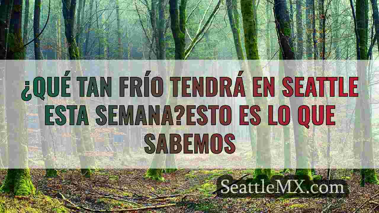 Noticias de Seattle SeattleMX