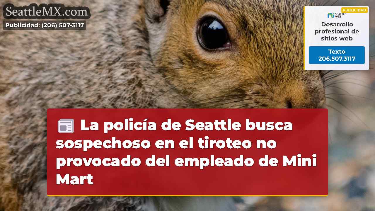 Noticias de Seattle SeattleMX