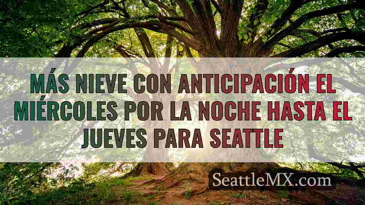 Noticias de Seattle SeattleMX