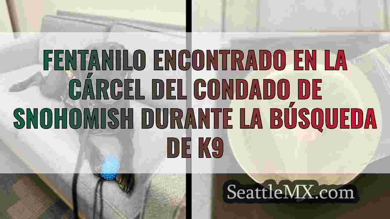 Fentanilo encontrado en la cárcel del