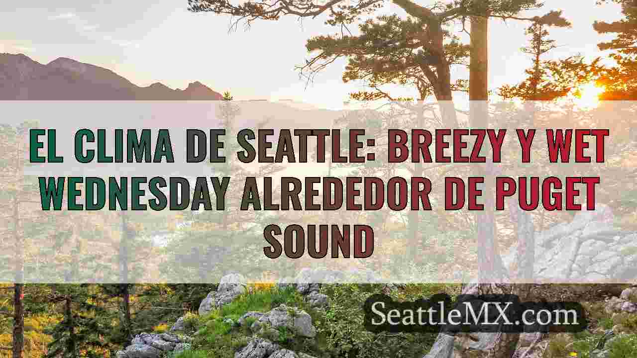 El clima de Seattle: Breezy y Wet