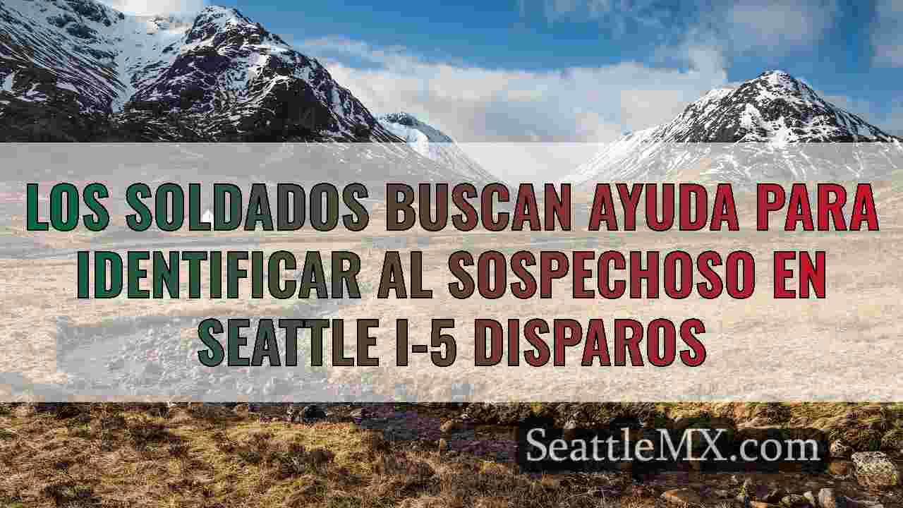 Los soldados buscan ayuda para identificar al