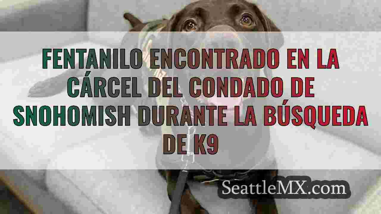 Noticias de Seattle SeattleMX