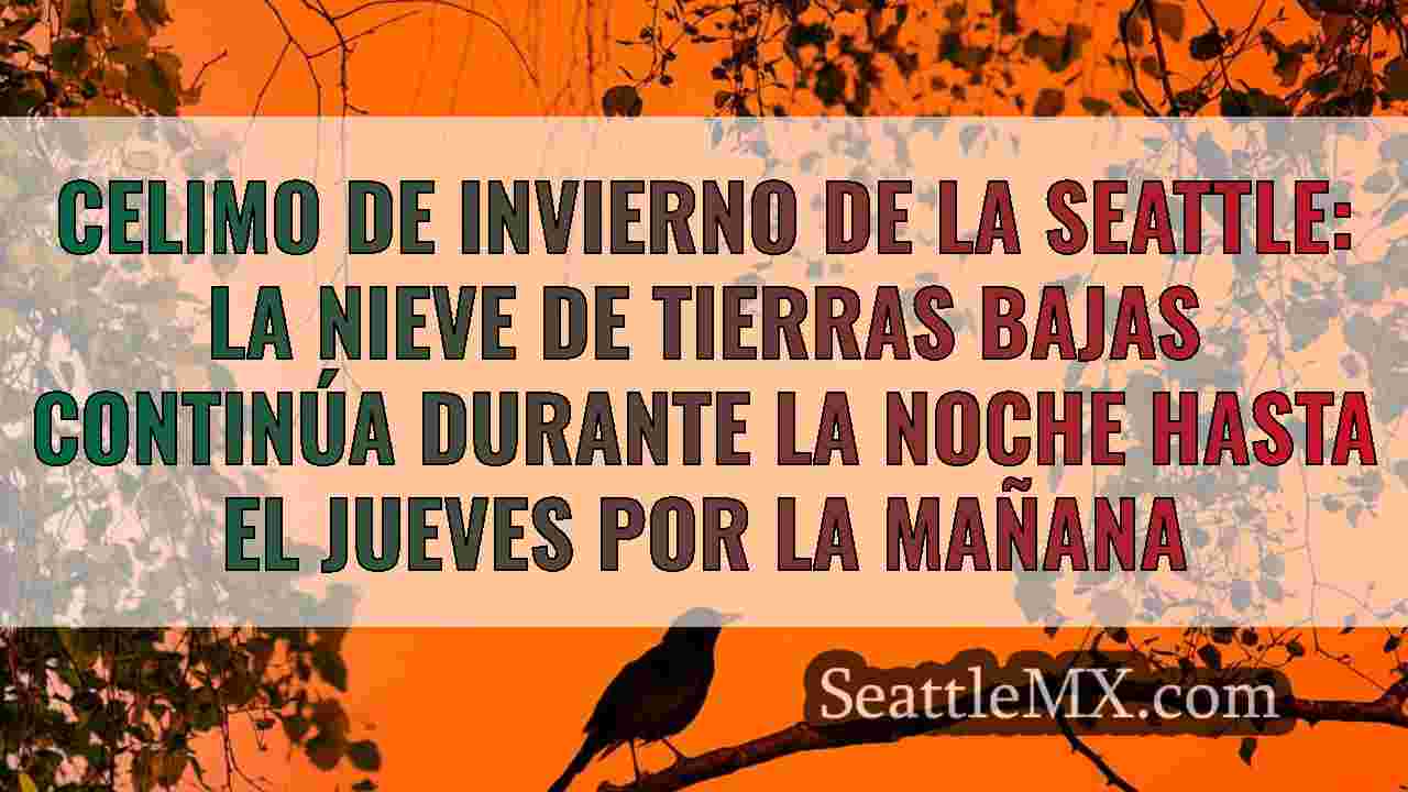 Noticias de Seattle SeattleMX