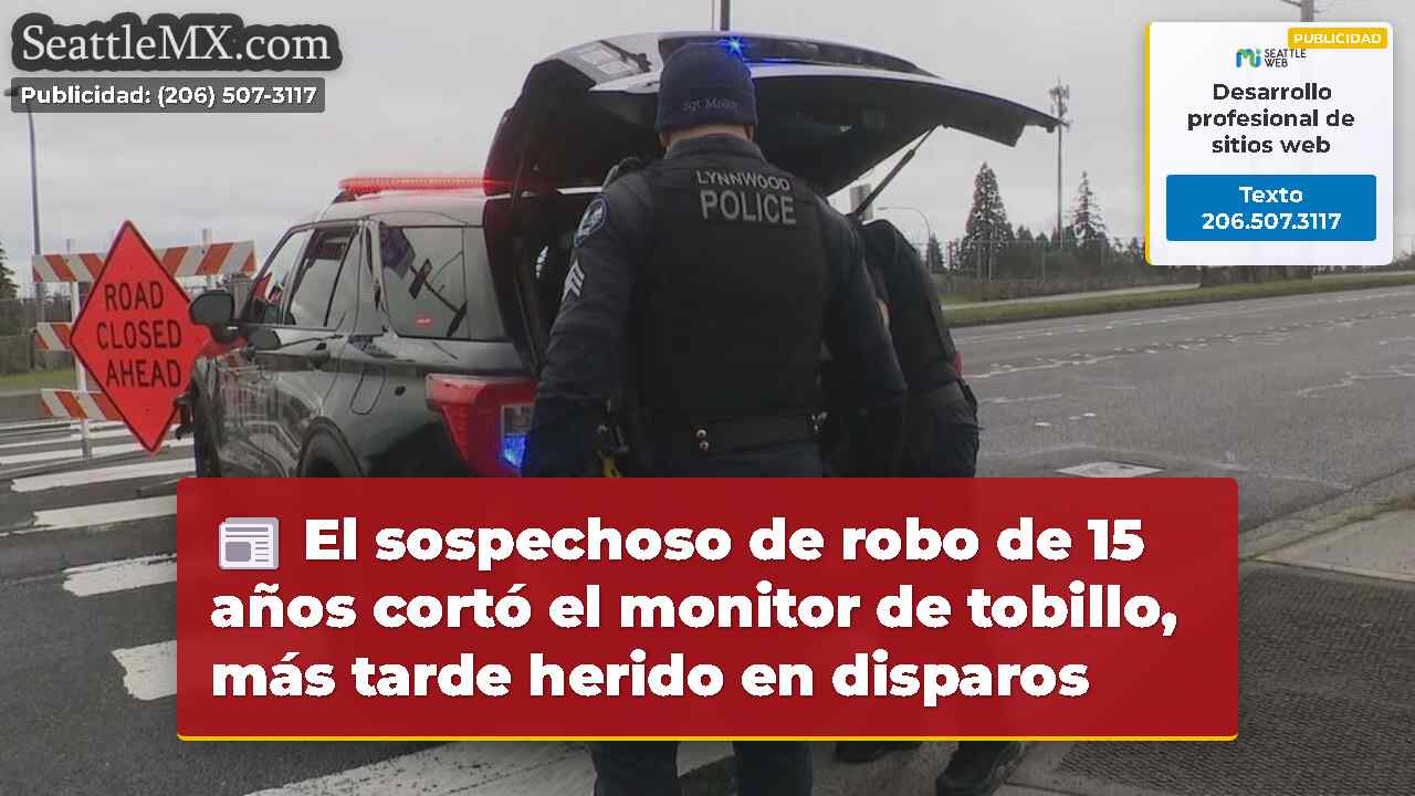 El sospechoso de robo de 15 años cortó el monitor