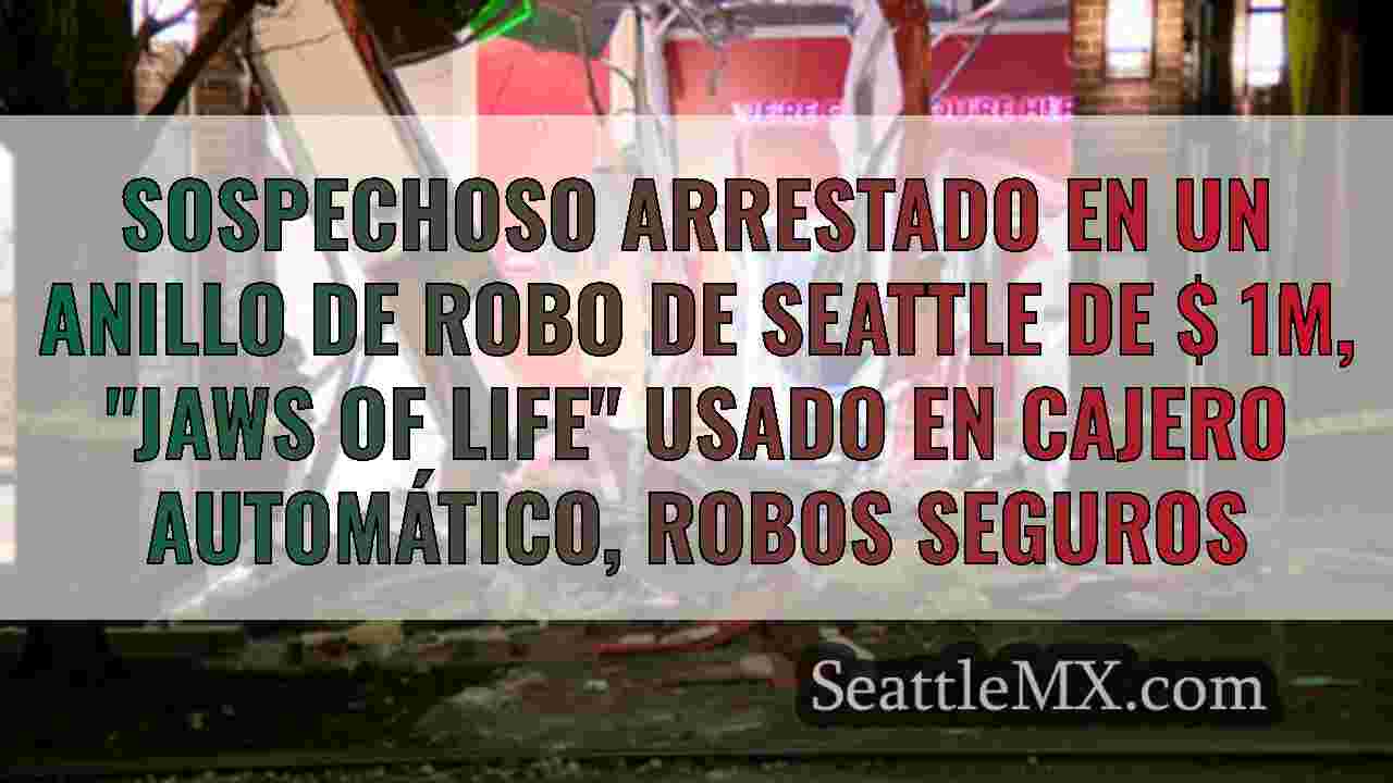 Sospechoso arrestado en un anillo de robo de