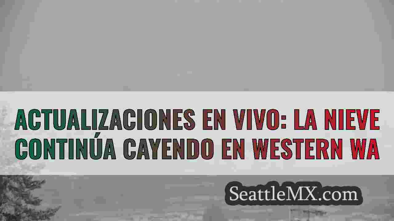 Actualizaciones en vivo: la nieve