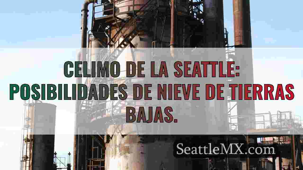 CELIMO DE LA SEATTLE: posibilidades de