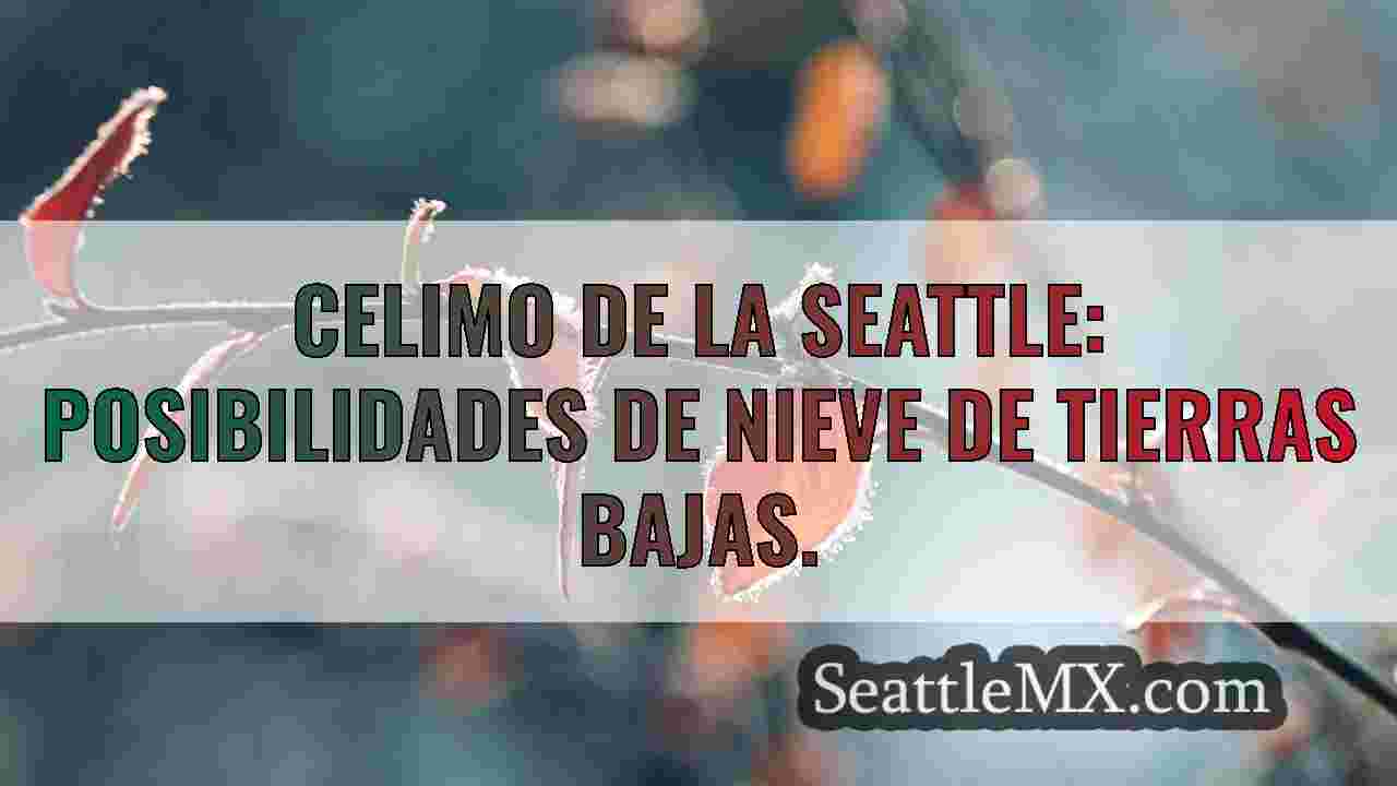Noticias de Seattle SeattleMX
