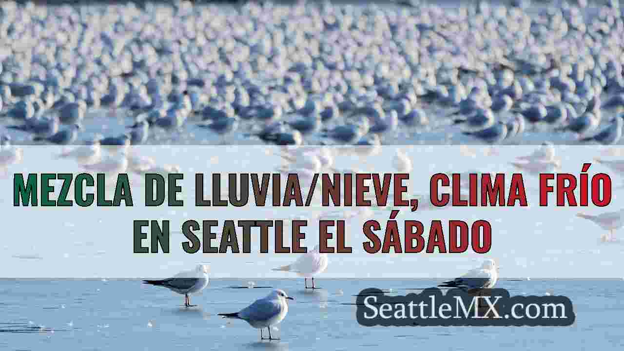 Noticias de Seattle SeattleMX