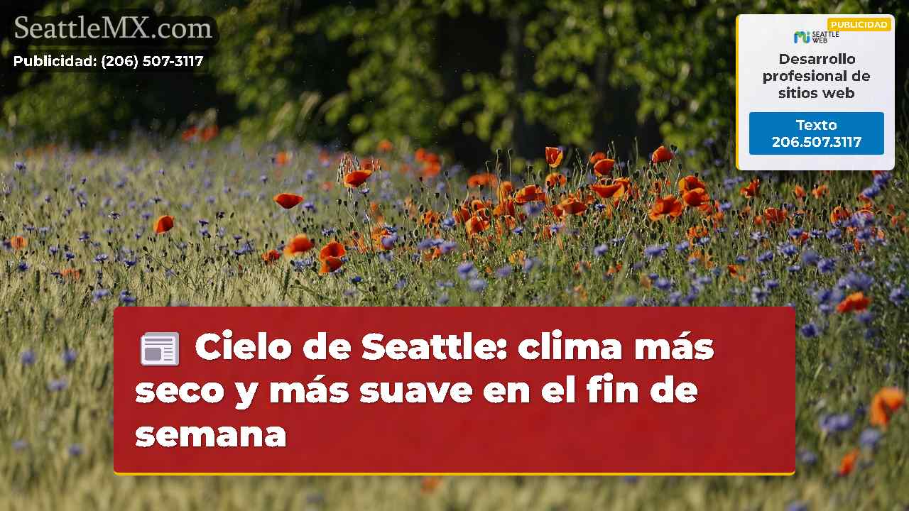 Noticias de Seattle SeattleMX
