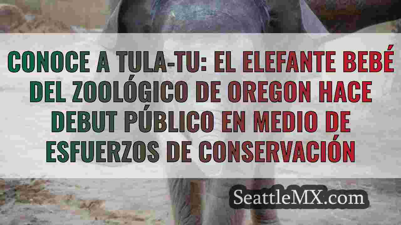 Noticias de Seattle SeattleMX