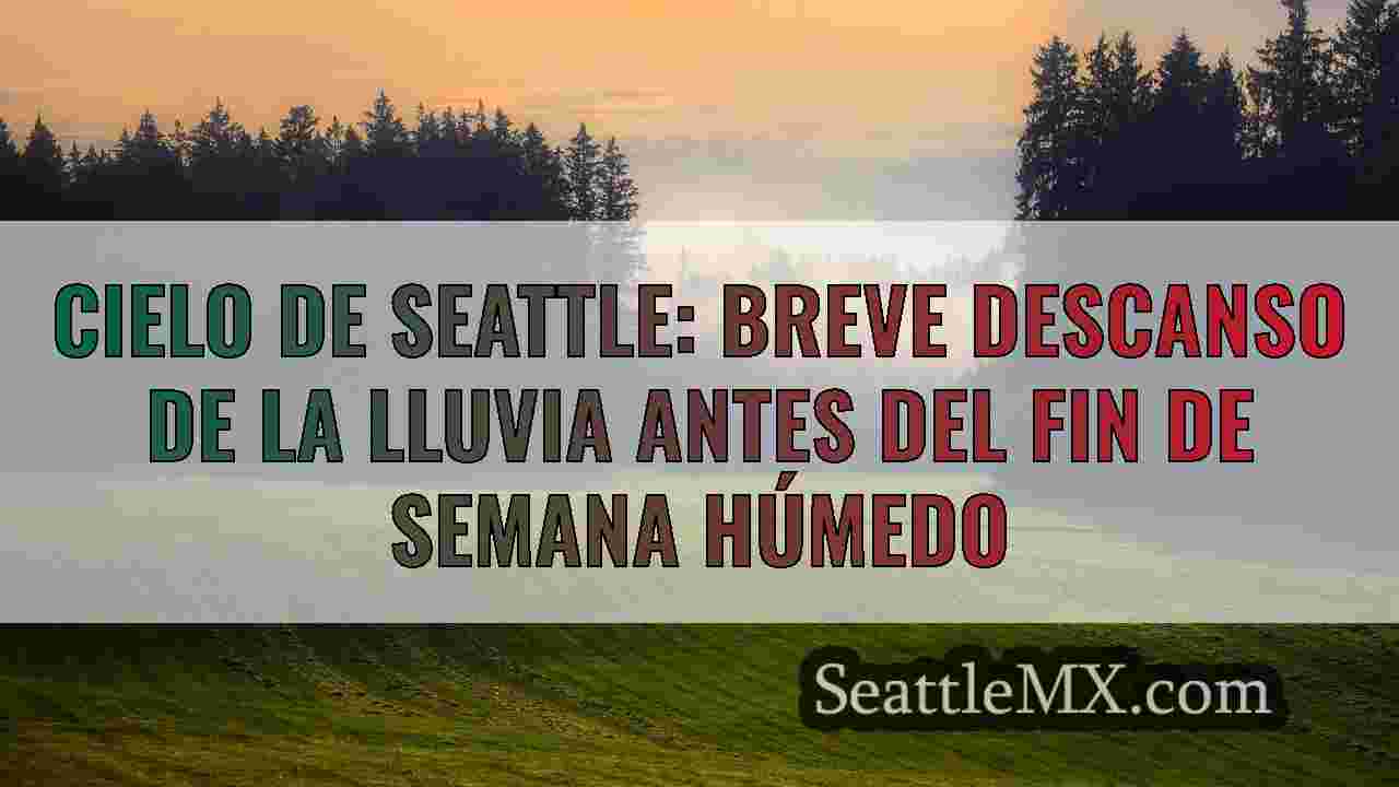 Noticias de Seattle SeattleMX