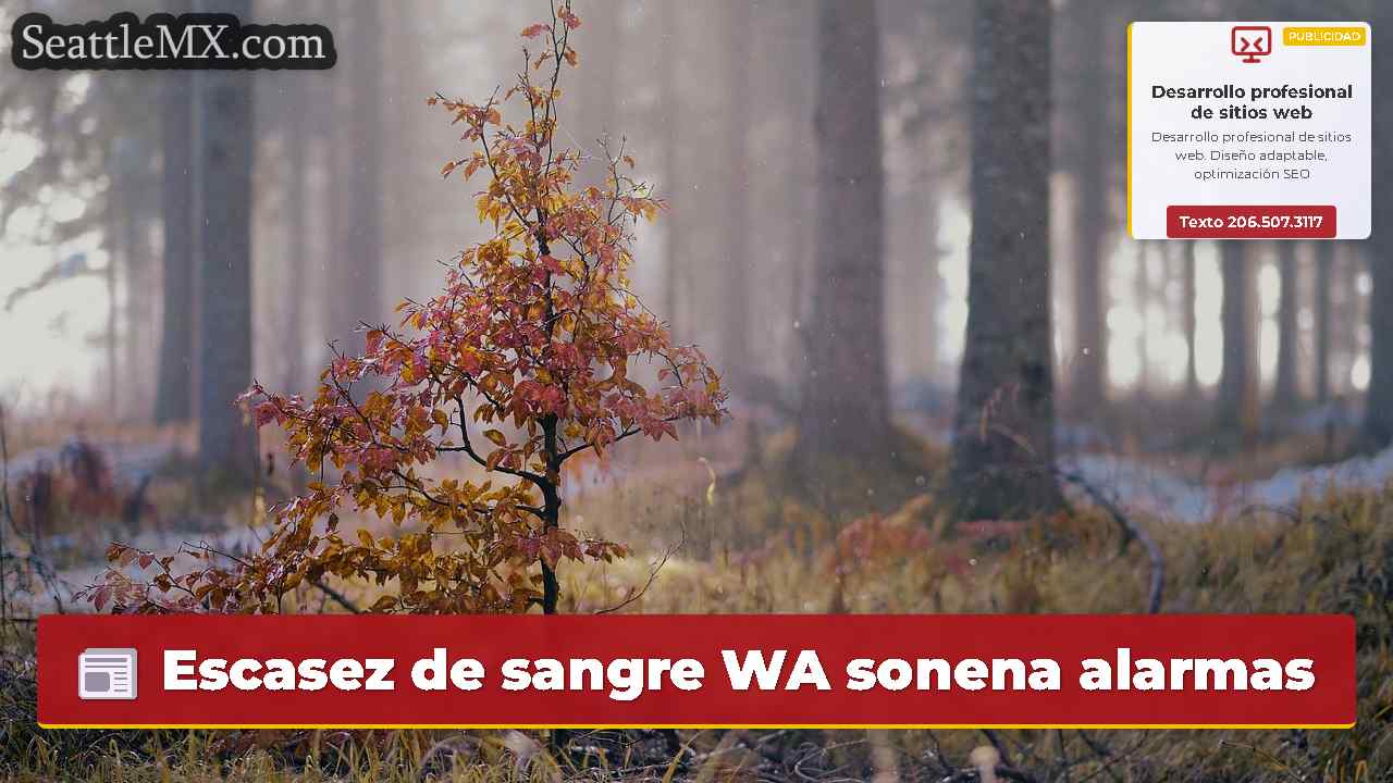 Noticias de Seattle SeattleMX