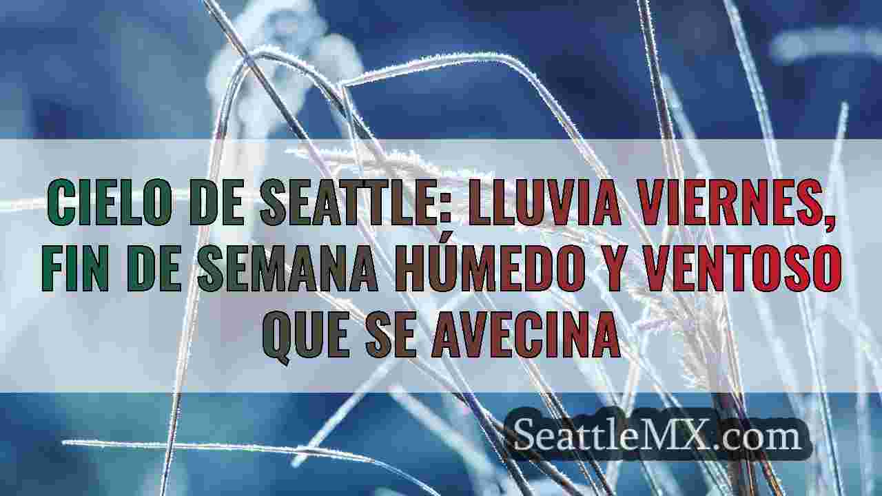 Noticias de Seattle SeattleMX