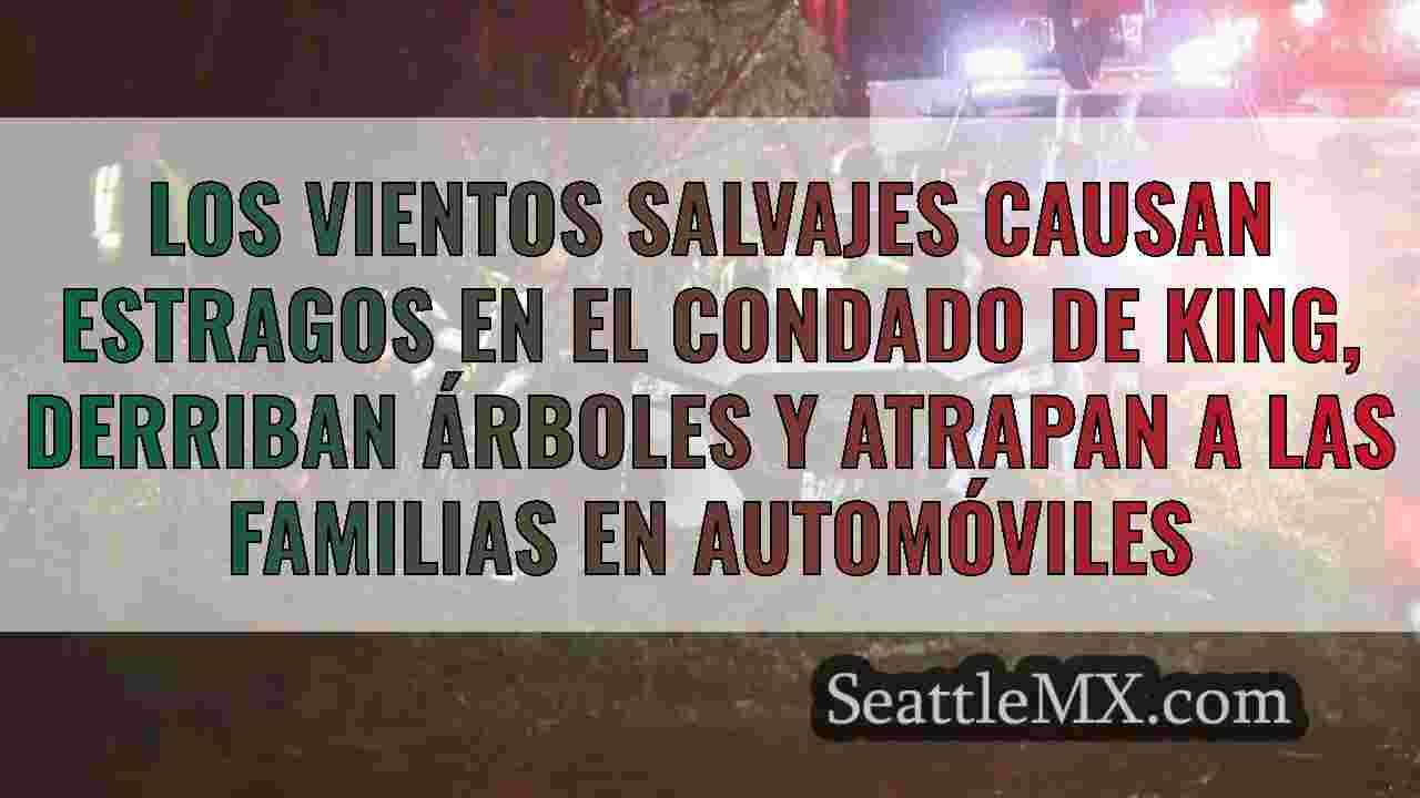 Los vientos salvajes causan estragos en