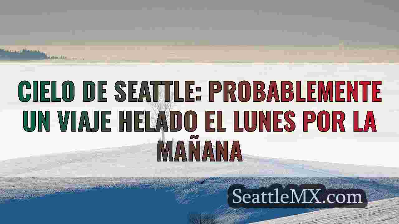Noticias de Seattle SeattleMX