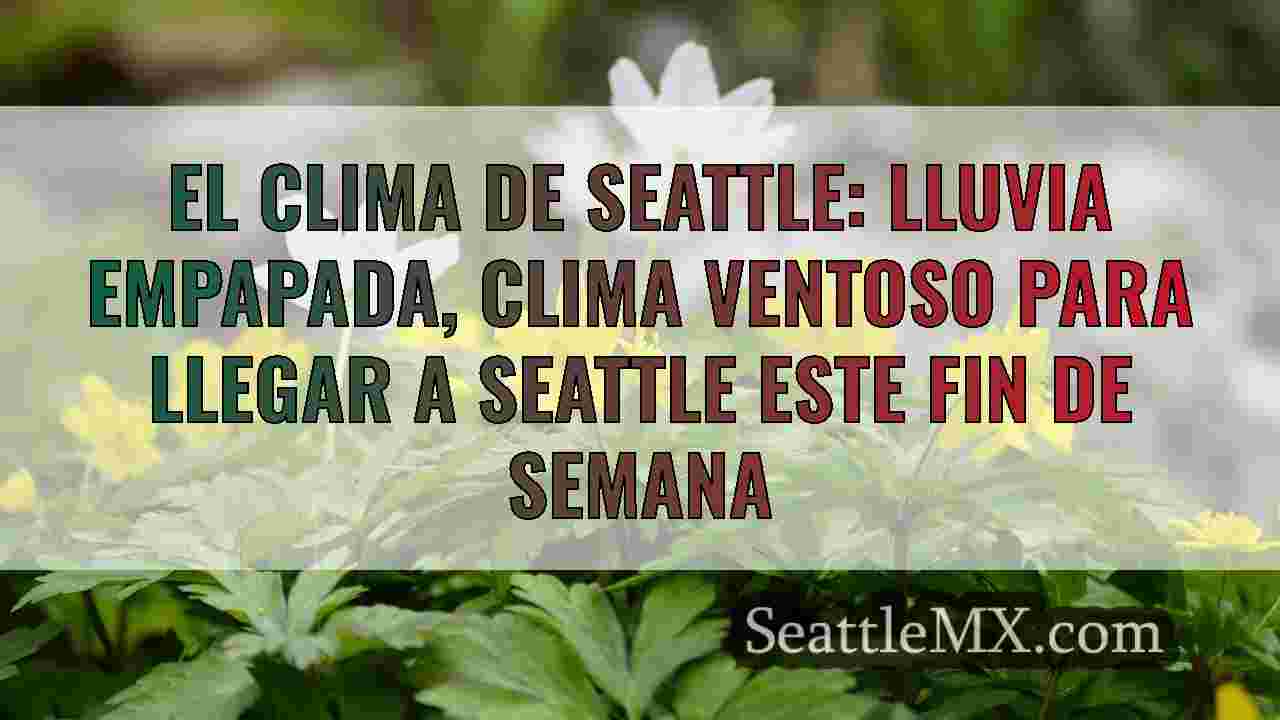 Noticias de Seattle SeattleMX