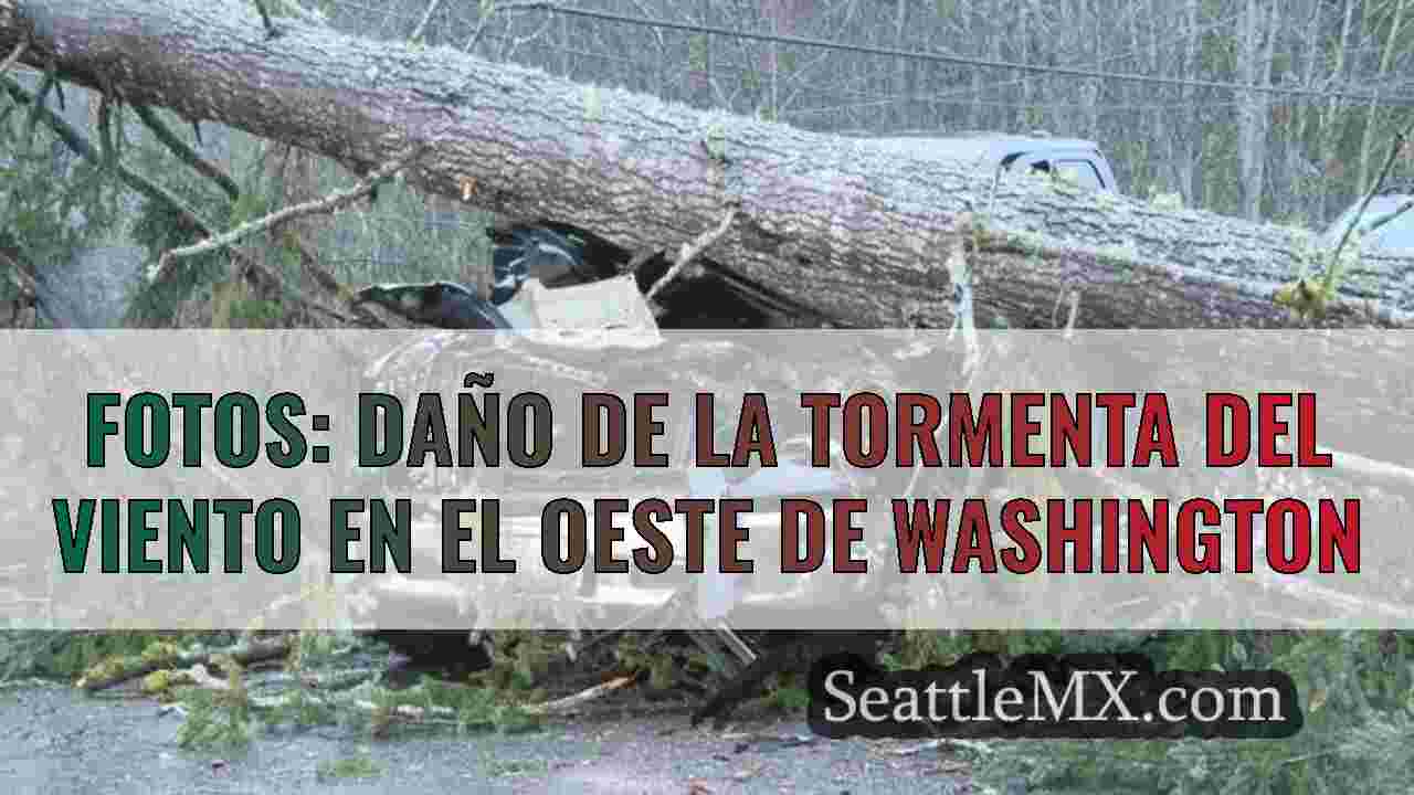 Noticias de Seattle SeattleMX