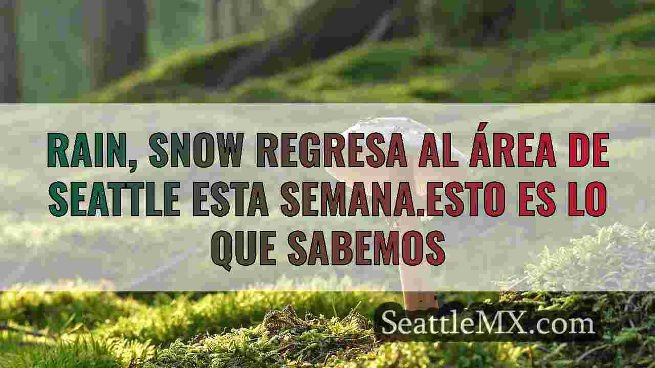 Noticias de Seattle SeattleMX