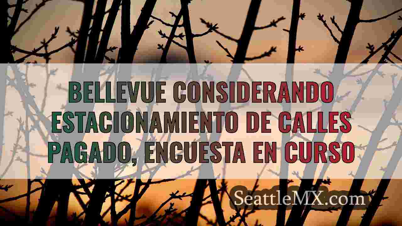 Noticias de Seattle SeattleMX