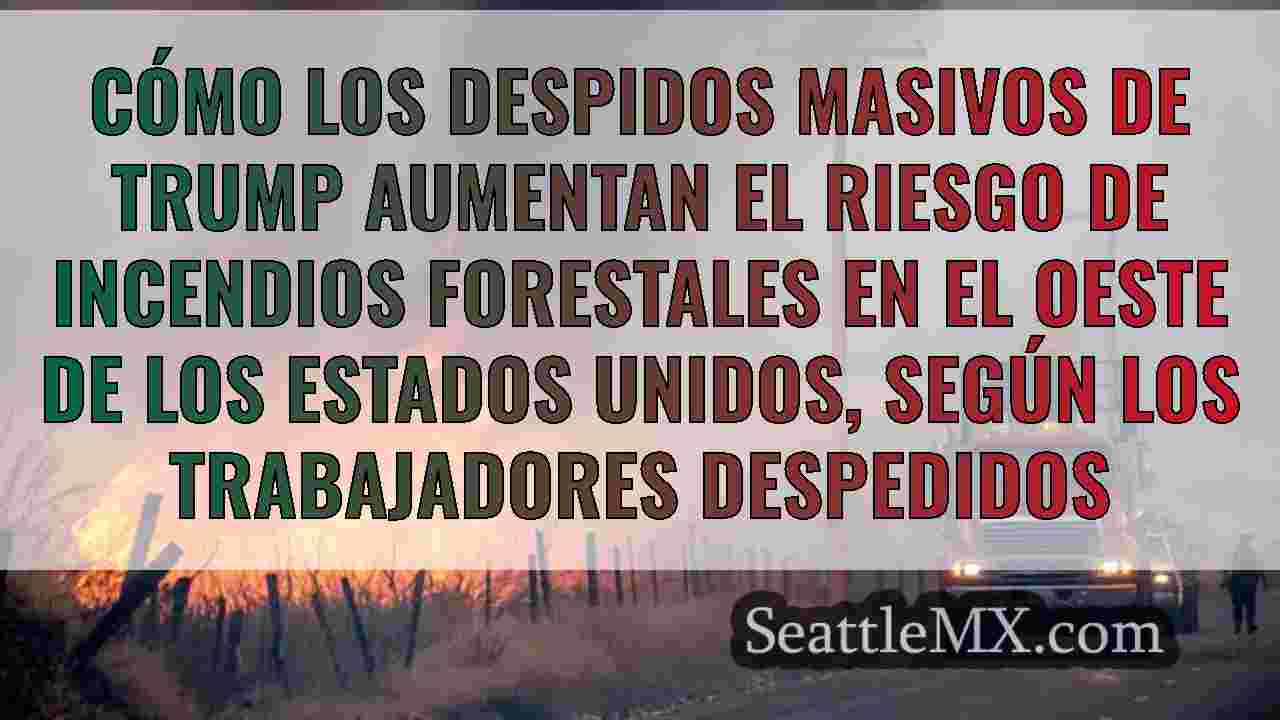 Cómo los despidos masivos de Trump