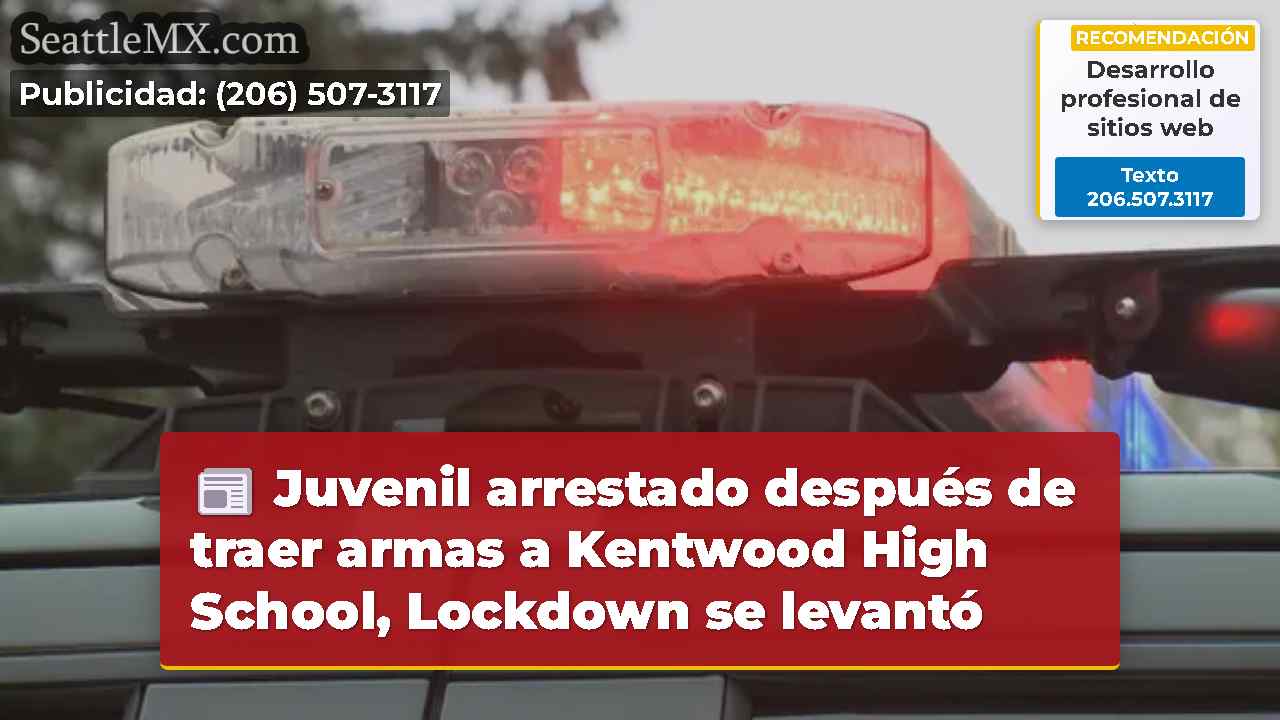 Juvenil arrestado después de traer armas a