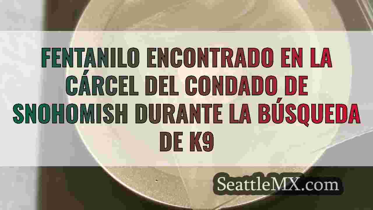 Noticias de Seattle SeattleMX