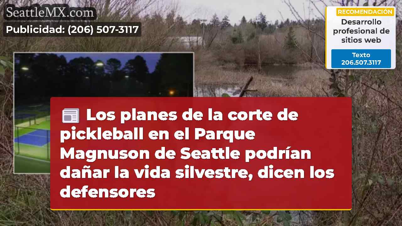 Los planes de la corte de pickleball en el Parque