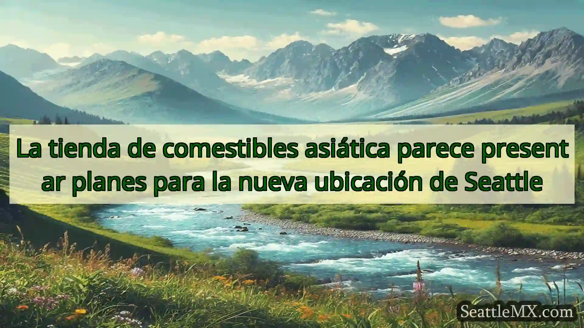 La tienda de comestibles asiática parece