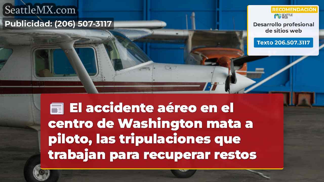 El accidente aéreo en el centro de Washington