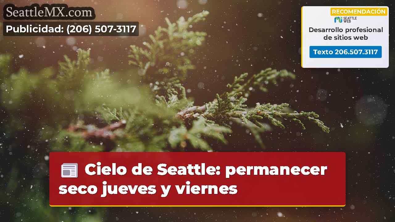 Noticias de Seattle SeattleMX