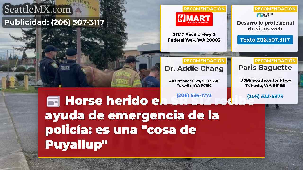 Noticias de Seattle SeattleMX