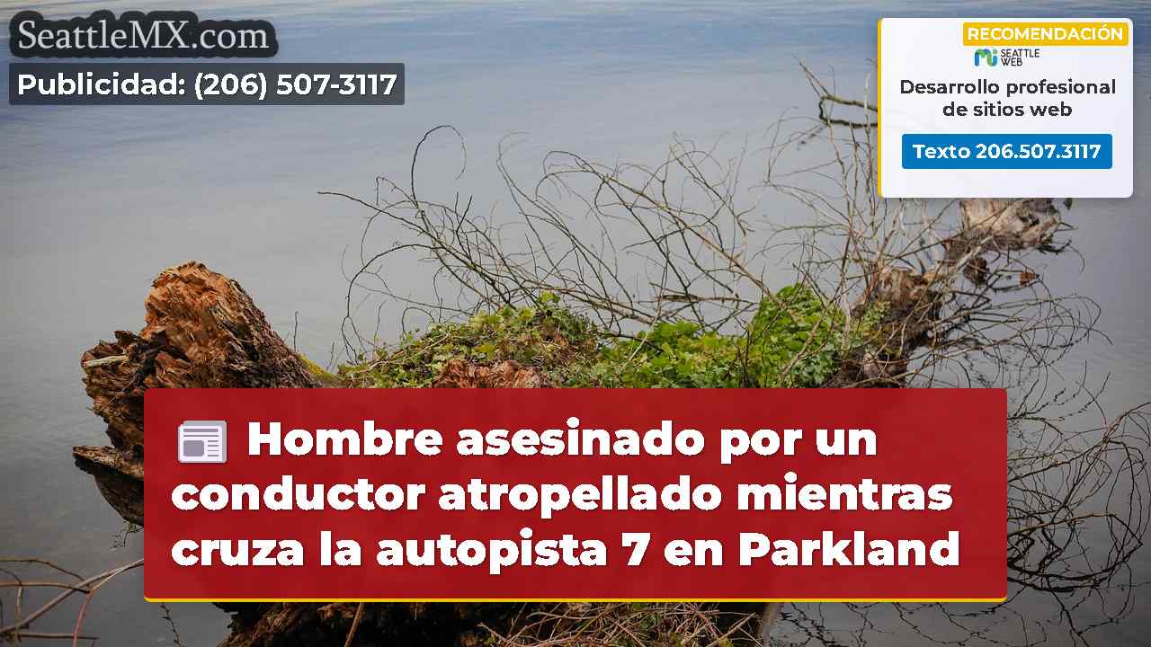 Noticias de Seattle SeattleMX
