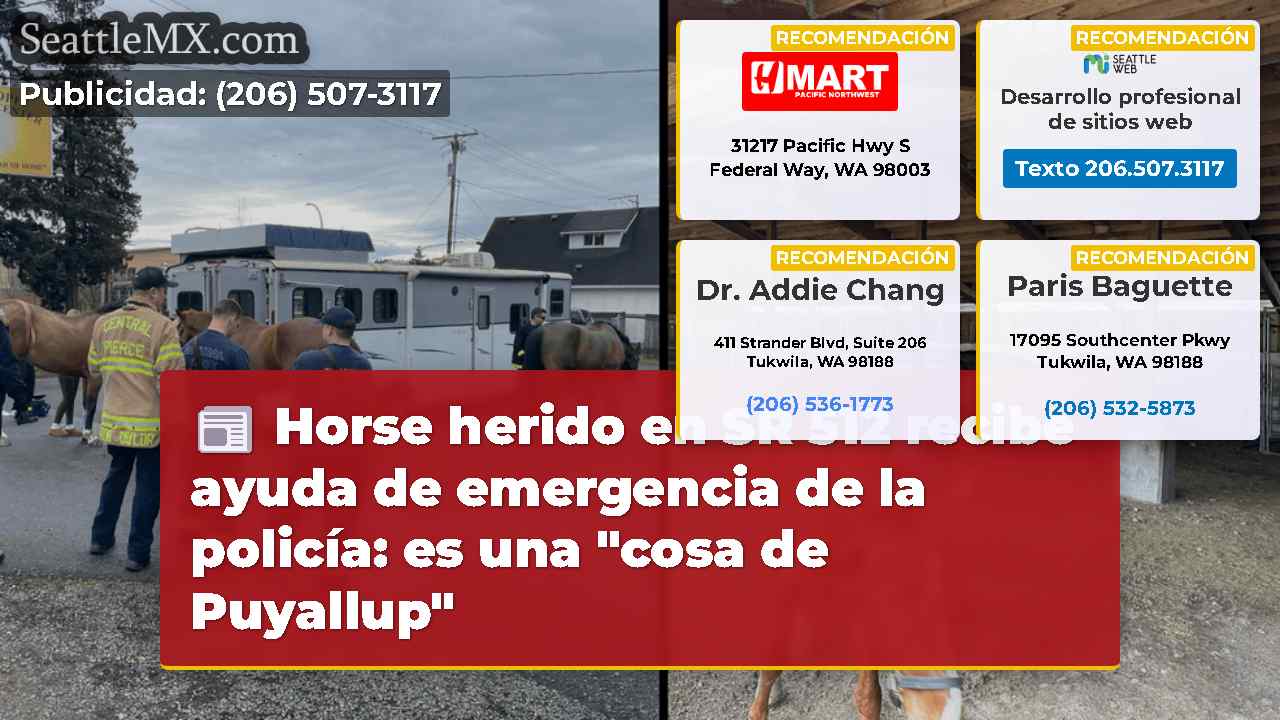 Horse herido en SR 512 recibe ayuda de emergencia