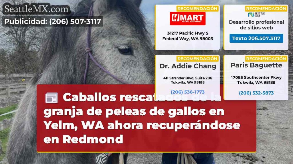 Caballos rescatados de la granja de peleas de