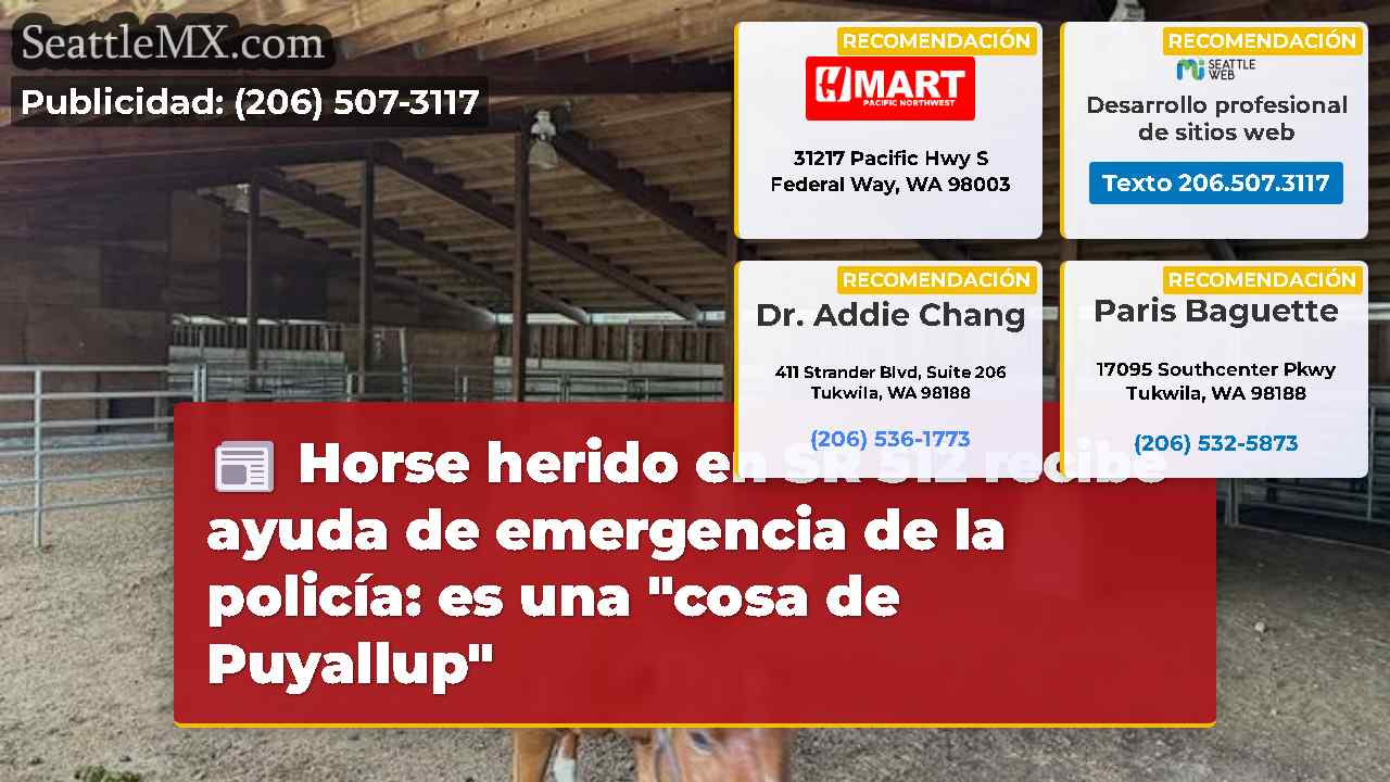 Noticias de Seattle SeattleMX