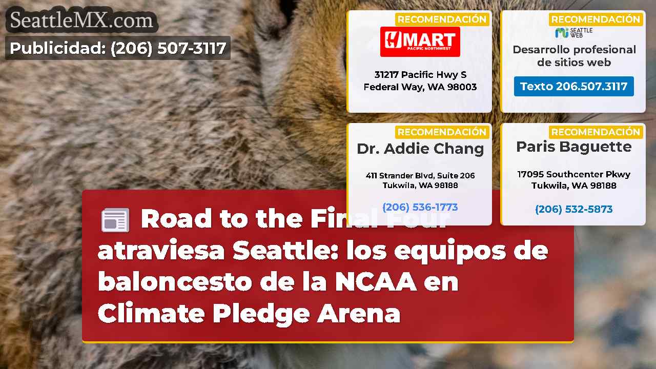 Noticias de Seattle SeattleMX