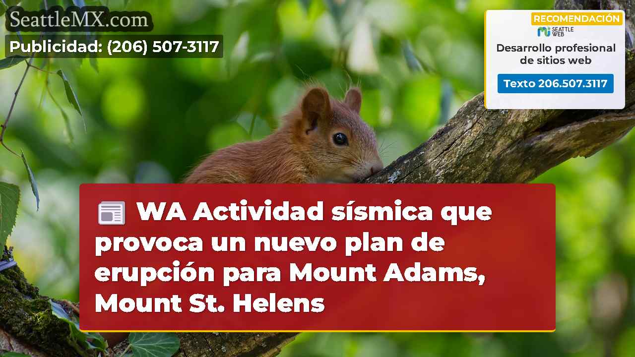 Noticias de Seattle SeattleMX