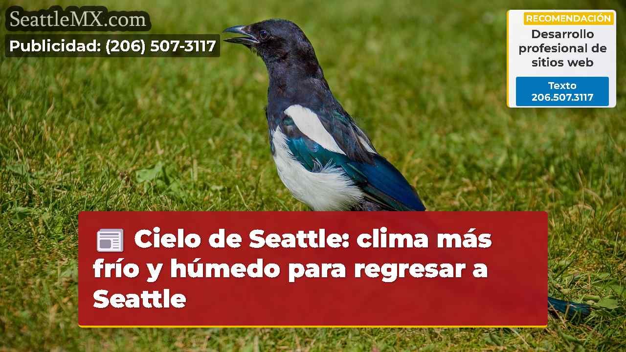 Noticias de Seattle SeattleMX