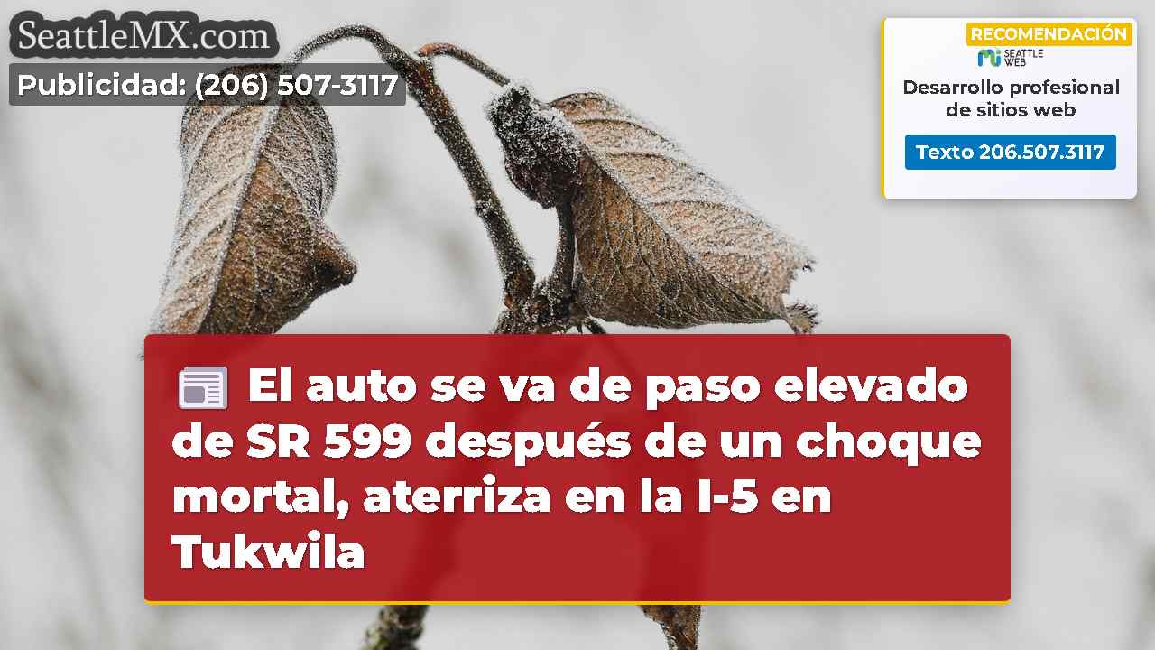 Noticias de Seattle SeattleMX