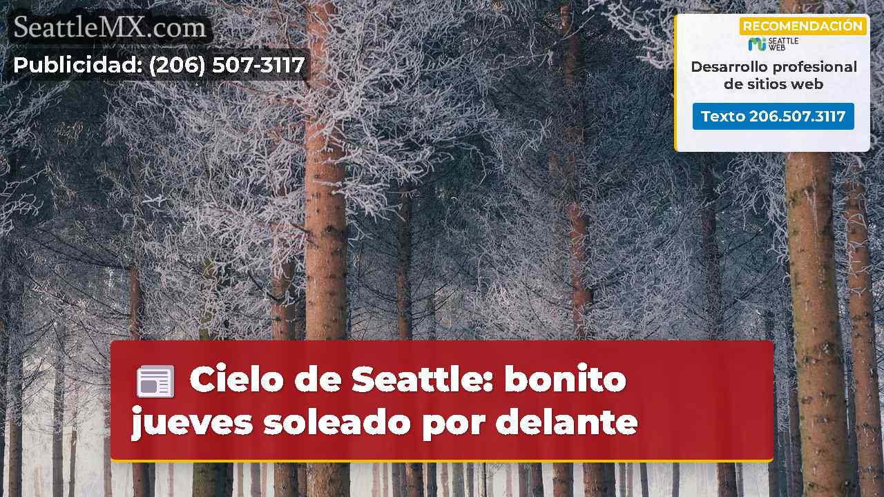 Noticias de Seattle SeattleMX