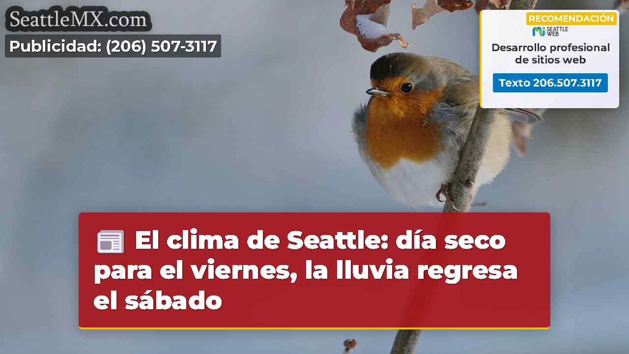 Noticias de Seattle SeattleMX