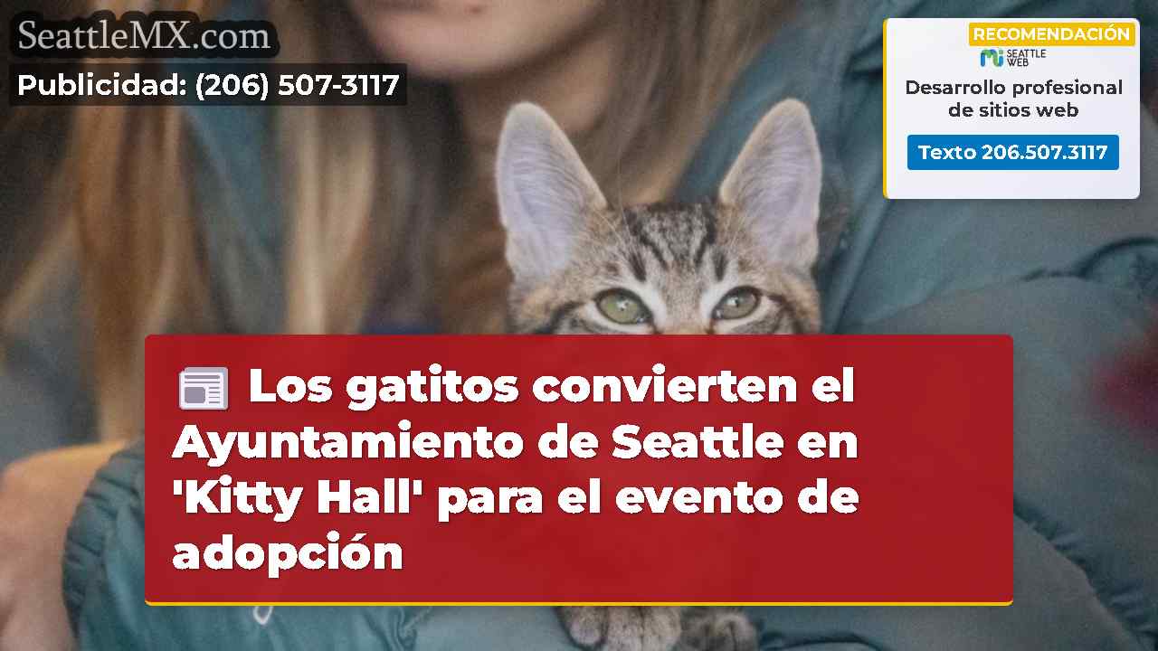 Los gatitos convierten el Ayuntamiento de Seattle