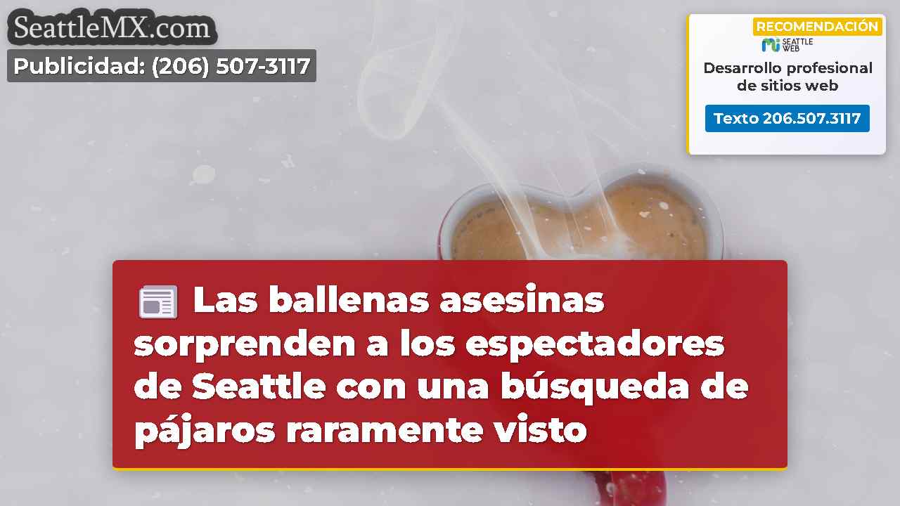 Noticias de Seattle SeattleMX