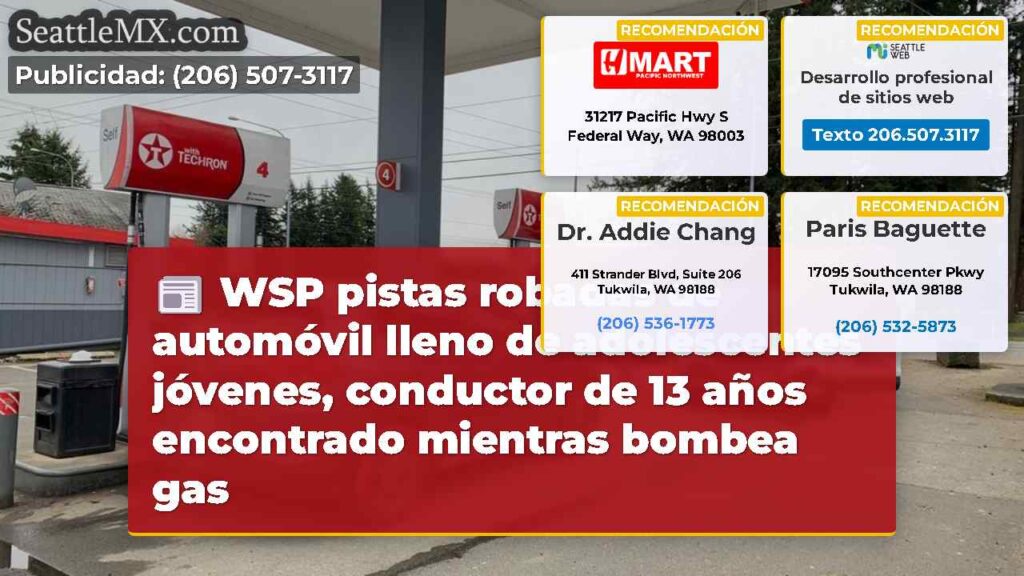 WSP pistas robadas de automóvil lleno de