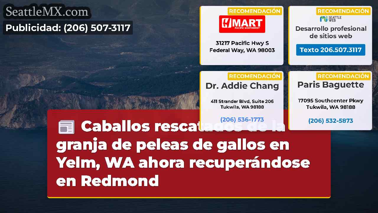 Noticias de Seattle SeattleMX