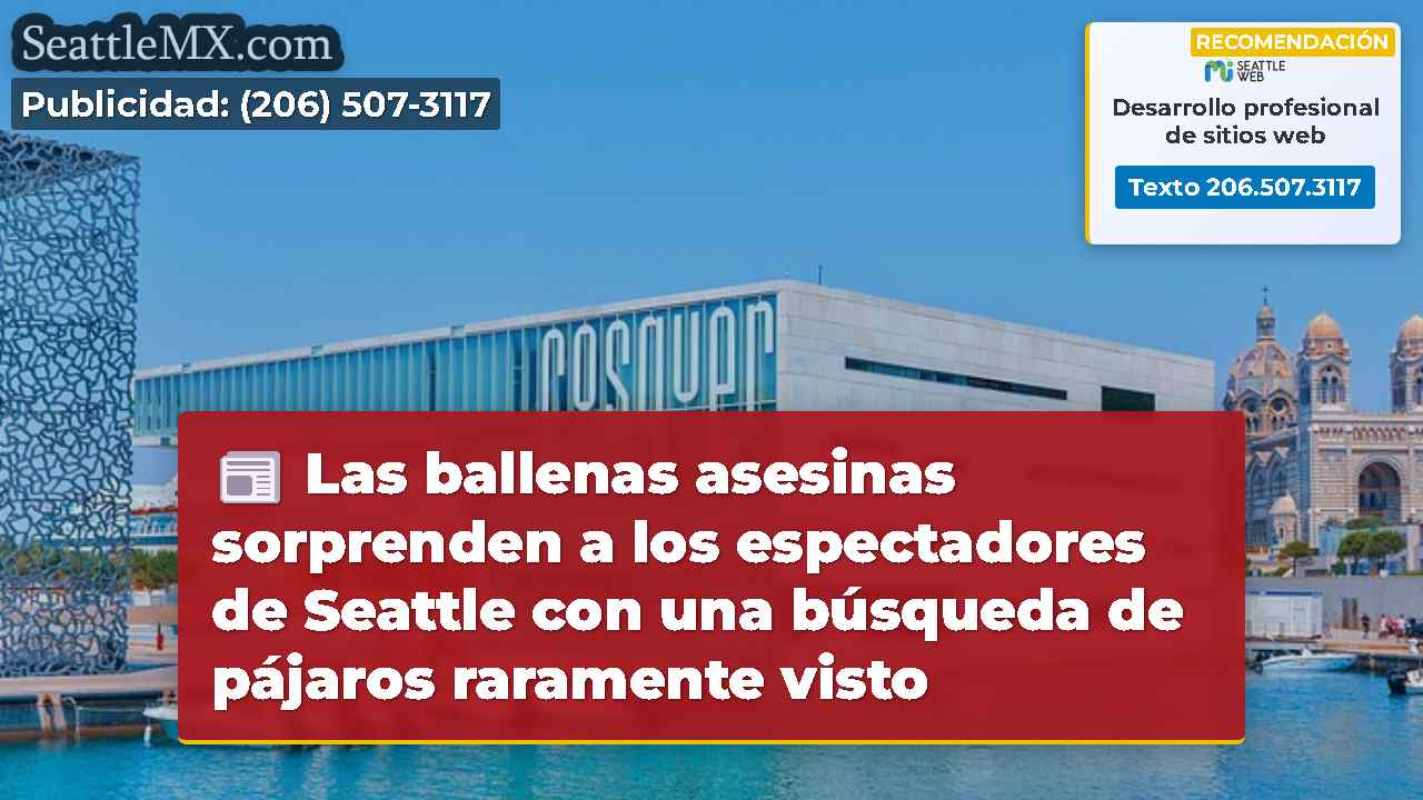 Noticias de Seattle SeattleMX
